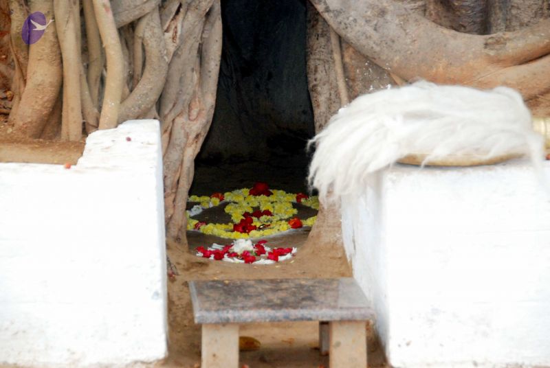 File:20091216DSC 8414 CMP WM001.jpg