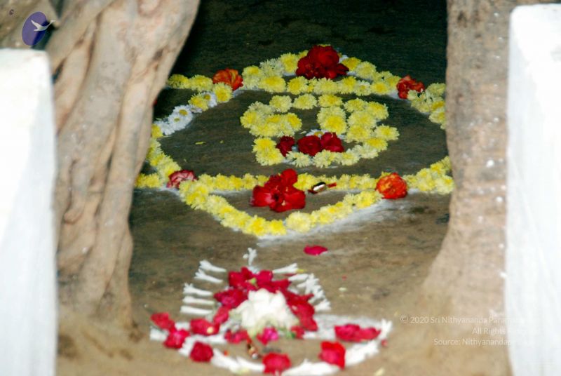 File:20091216DSC 8415 CMP WM001.jpg