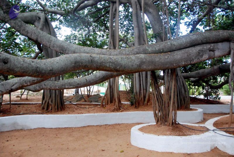 File:20091216DSC 8419 CMP WM001.jpg