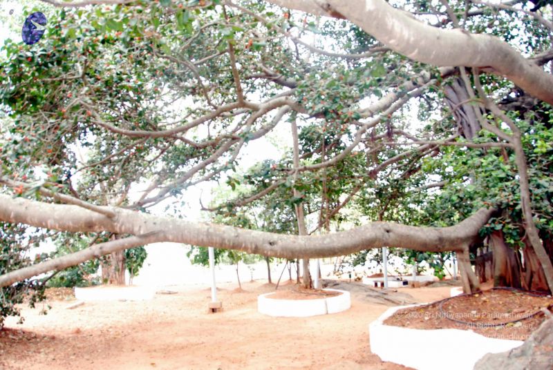 File:20091216DSC 8425 CMP WM001.jpg