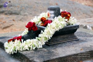 20091216DSC 8428 CMP WM001.jpg