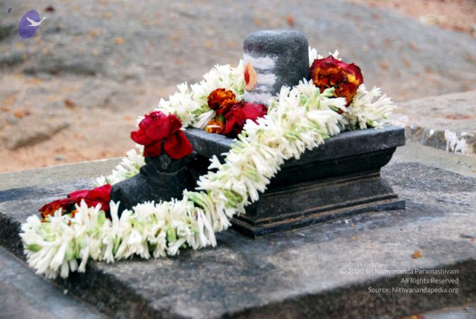 20091216DSC 8428 CMP WM001.jpg