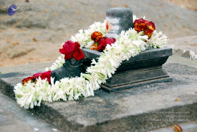 20091216DSC 8429 CMP WM001.jpg