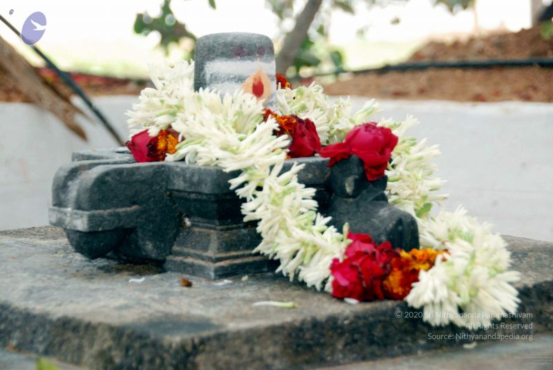 File:20091216DSC 8430 CMP WM001.jpg