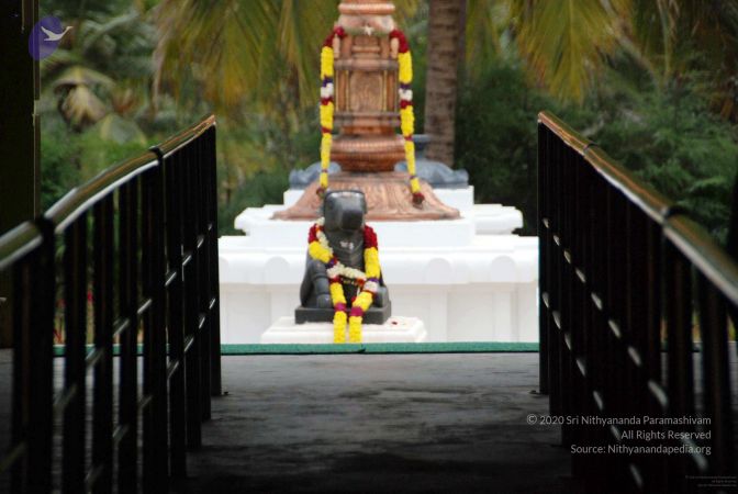 20091216DSC 8433 CMP WM001.jpg