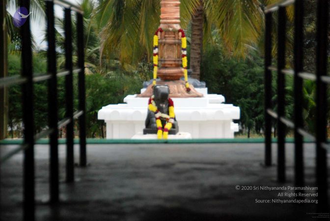 20091216DSC 8436 CMP WM001.jpg