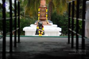 20091216DSC 8437 CMP WM001.jpg