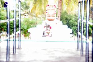 20091216DSC 8438 CMP WM001.jpg