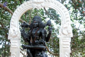 20091216DSC 8446 CMP WM001.jpg