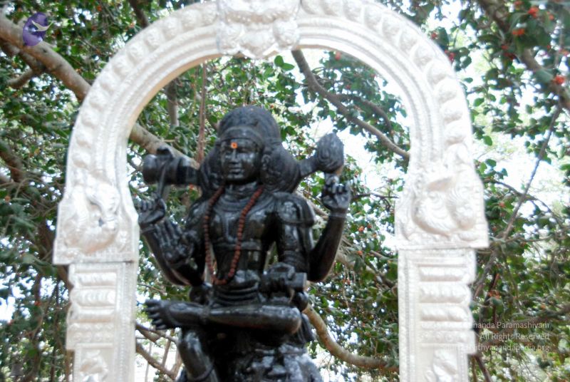 File:20091216DSC 8446 CMP WM001.jpg