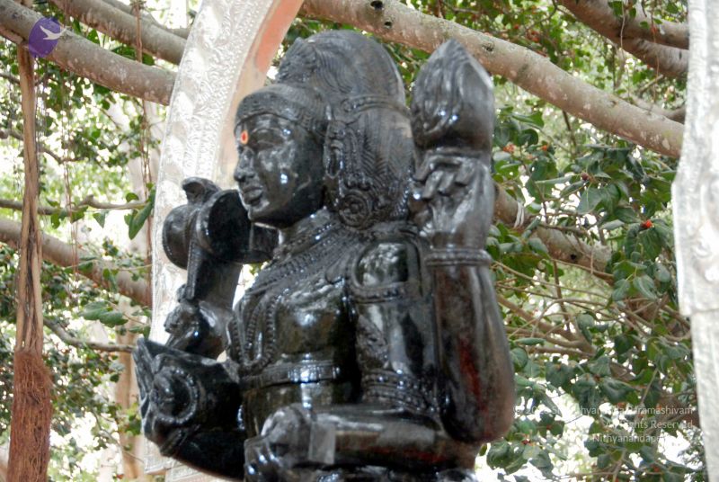 File:20091216DSC 8453 CMP WM001.jpg