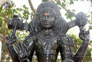 20091216DSC 8462 CMP WM001.jpg