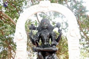 20091216DSC 8463 CMP WM001.jpg