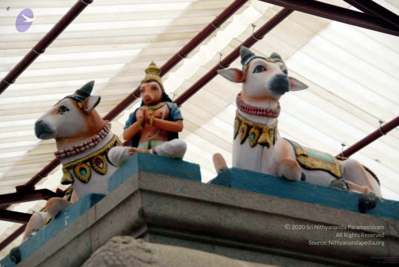 File:20091216DSC 8470 CMP WM001.jpg