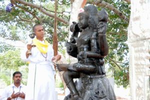 20091216DSC 8472 CMP WM001.jpg