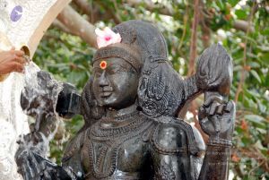 20091216DSC 8474 CMP WM001.jpg