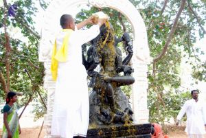 20091216DSC 8479 CMP WM001.jpg