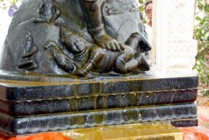 20091216DSC 8483 CMP WM001.jpg