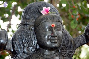 20091216DSC 8485 CMP WM001.jpg