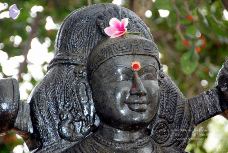 File:20091216DSC 8485 CMP WM001.jpg