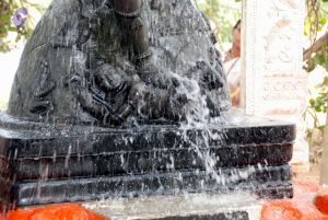 20091216DSC 8489 CMP WM001.jpg