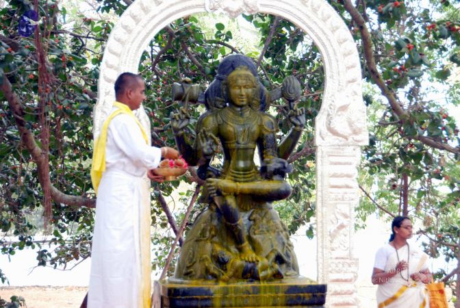 20091216DSC 8494 CMP WM001.jpg