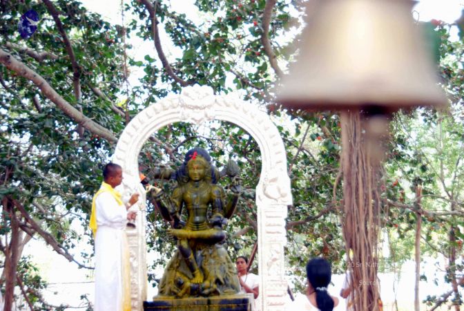 20091216DSC 8495 CMP WM001.jpg