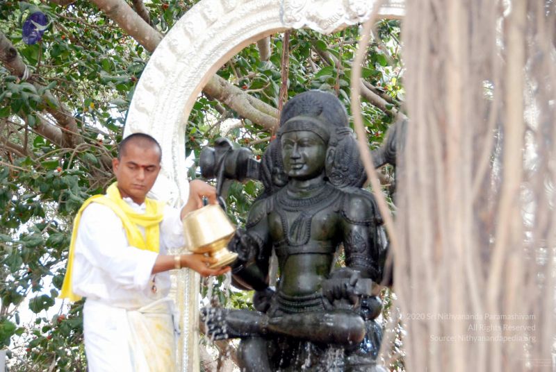 File:20091216DSC 8496 CMP WM001.jpg