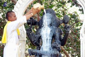 20091216DSC 8498 CMP WM001.jpg