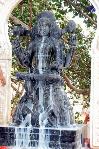 File:20091216DSC 8500 CMP WM001.jpg