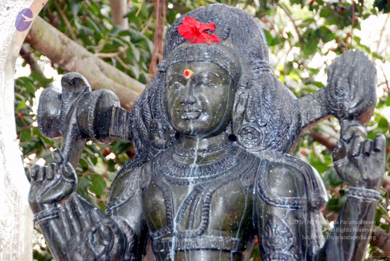 File:20091216DSC 8502 CMP WM001.jpg