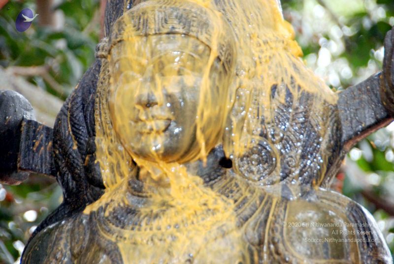 File:20091216DSC 8506 CMP WM001.jpg