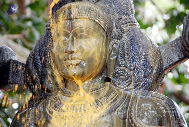 File:20091216DSC 8507 CMP WM001.jpg