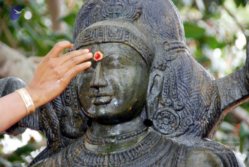 File:20091216DSC 8509 CMP WM001.jpg