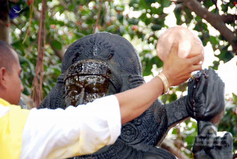 File:20091216DSC 8515 CMP WM001.jpg