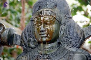 20091216DSC 8516 CMP WM001.jpg