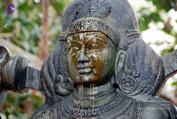 20091216DSC 8516 CMP WM001.jpg