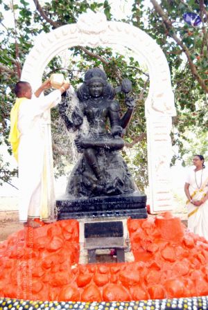 20091216DSC 8527 CMP WM001.jpg