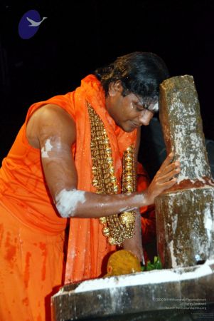 20091216DSC 8747 CMP WM001.jpg