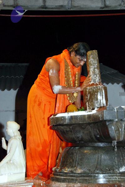 File:20091216DSC 8749 CMP WM001.jpg