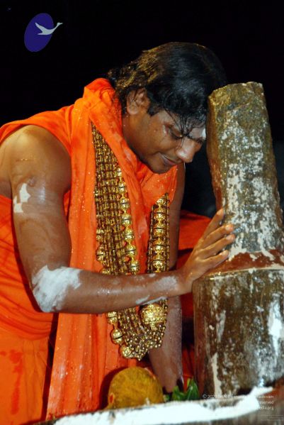 File:20091216DSC 8751 CMP WM001.jpg