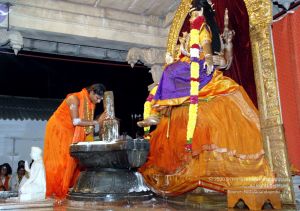 20091216DSC 8753 CMP WM001.jpg