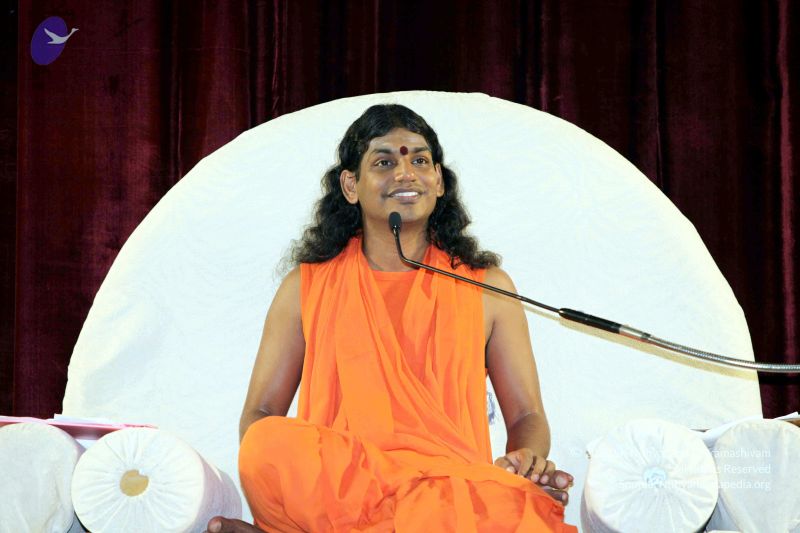 File:20091216IMG 2480 CMP WM001.jpg