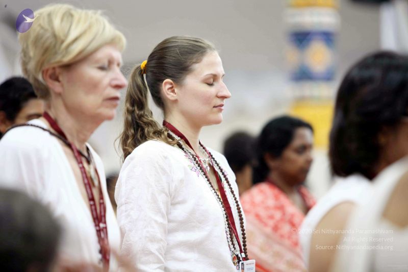 File:20091216IMG 2501 CMP WM001.jpg