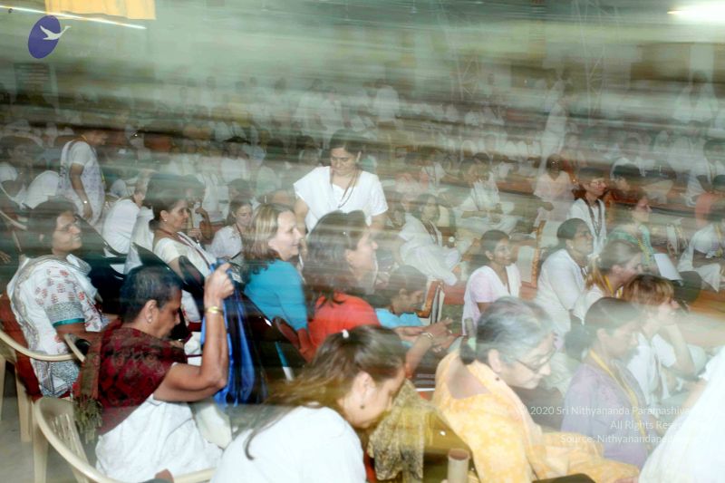 File:20091216IMG 2513 CMP WM001.jpg