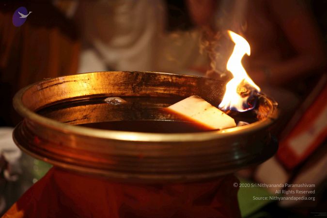 20091216IMG 2612 CMP WM001.jpg