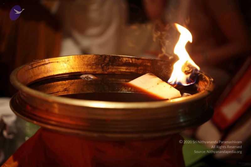 File:20091216IMG 2612 CMP WM001.jpg