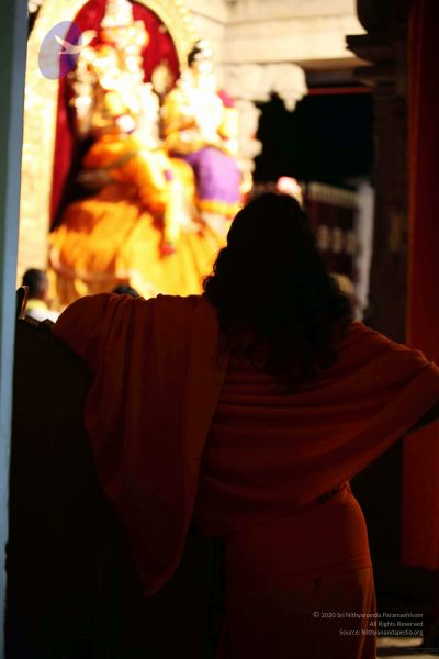 File:20091216IMG 2620 CMP WM001.jpg