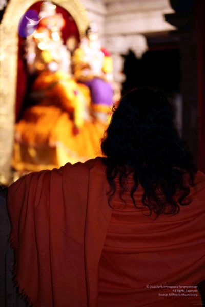 File:20091216IMG 2625 CMP WM001.jpg