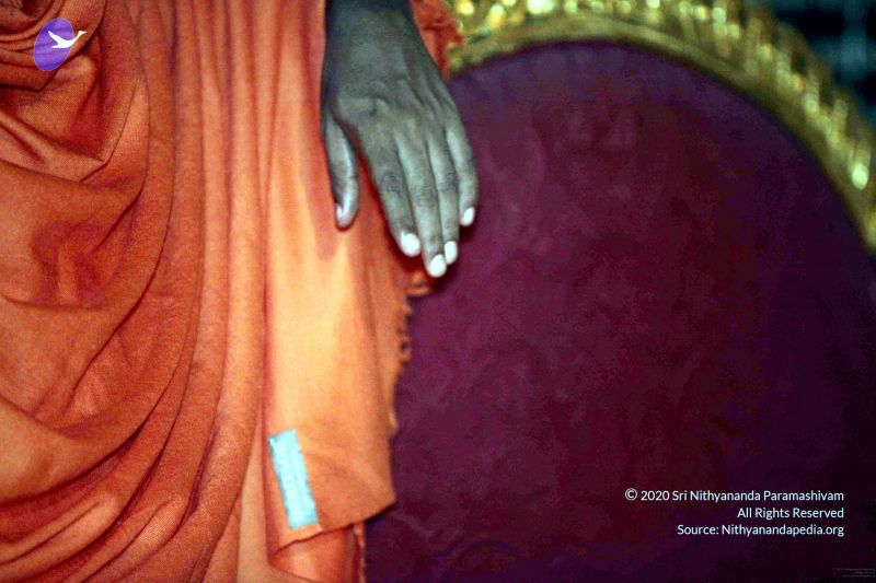 File:20091216IMG 2639 CMP WM001.jpg